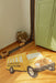 Washable School Bus Cotton Rug, 130 x 90 cm